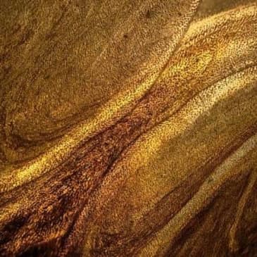 Golden Aesthetic Reserve at Hamilton Health & Wellness in Covington, TN